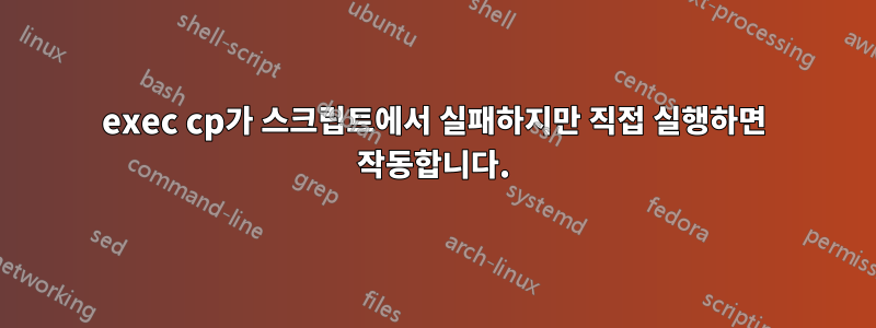 exec cp가 스크립트에서 실패하지만 직접 실행하면 작동합니다.