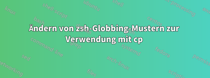 Ändern von zsh-Globbing-Mustern zur Verwendung mit cp