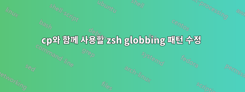 cp와 함께 사용할 zsh globbing 패턴 수정