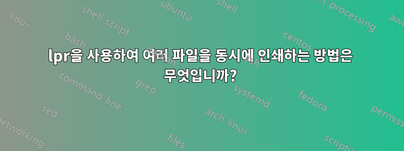 lpr을 사용하여 여러 파일을 동시에 인쇄하는 방법은 무엇입니까?