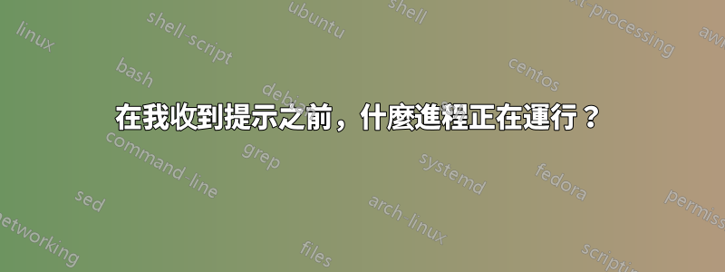 在我收到提示之前，什麼進程正在運行？