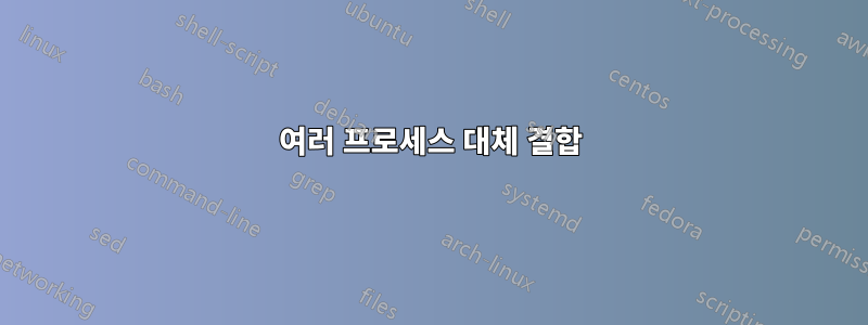 여러 프로세스 대체 결합