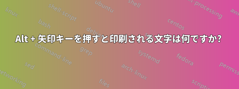 Alt + 矢印キーを押すと印刷される文字は何ですか?