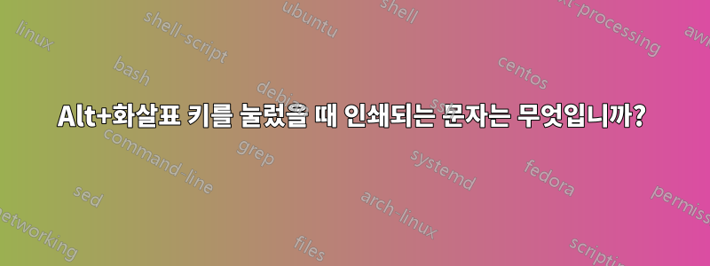 Alt+화살표 키를 눌렀을 때 인쇄되는 문자는 무엇입니까?