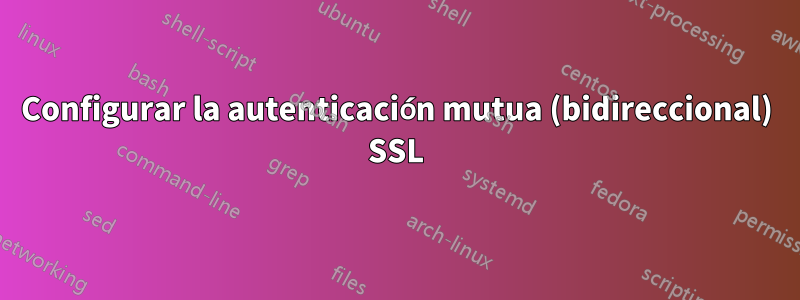 Configurar la autenticación mutua (bidireccional) SSL