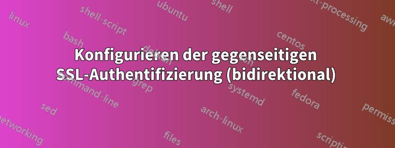 Konfigurieren der gegenseitigen SSL-Authentifizierung (bidirektional)