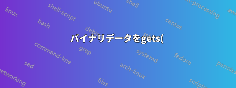 バイナリデータをgets()に送信する