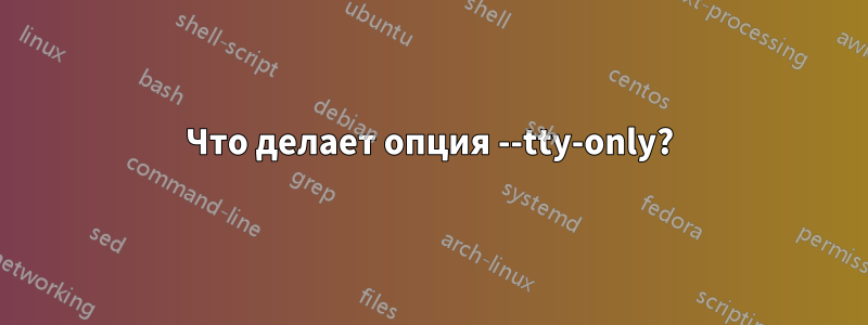 Что делает опция --tty-only?