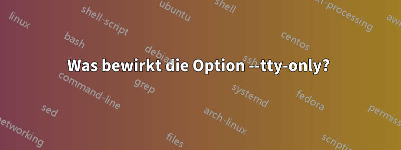 Was bewirkt die Option --tty-only?