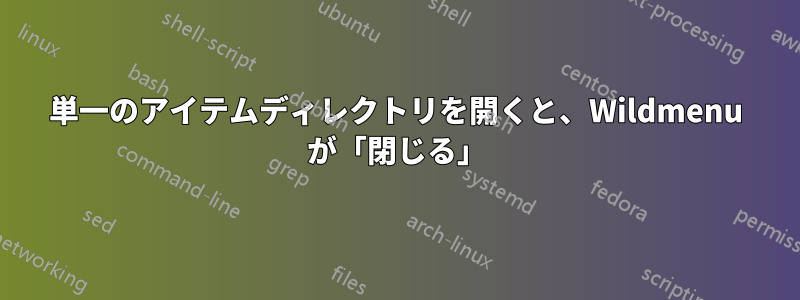 単一のアイテムディレクトリを開くと、Wildmenu が「閉じる」