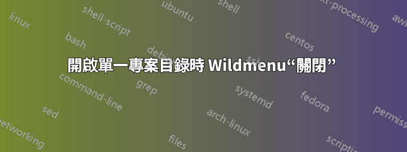 開啟單一專案目錄時 Wildmenu“關閉”