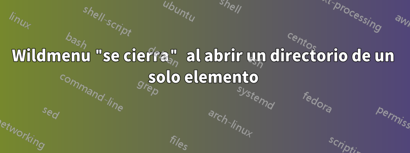 Wildmenu "se cierra" al abrir un directorio de un solo elemento