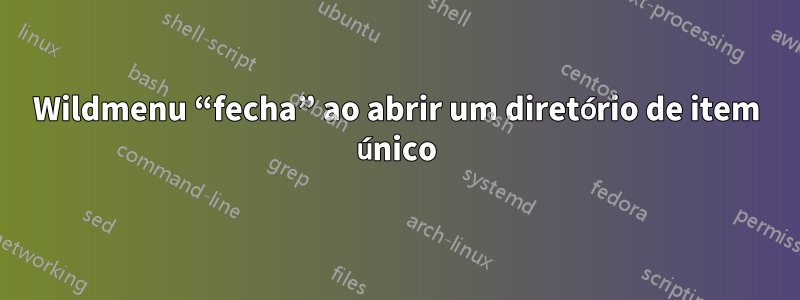 Wildmenu “fecha” ao abrir um diretório de item único