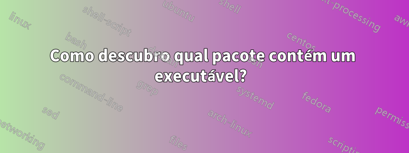 Como descubro qual pacote contém um executável? 