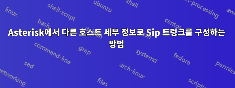 Asterisk에서 다른 호스트 세부 정보로 Sip 트렁크를 구성하는 방법