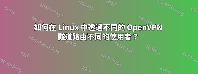 如何在 Linux 中透過不同的 OpenVPN 隧道路由不同的使用者？