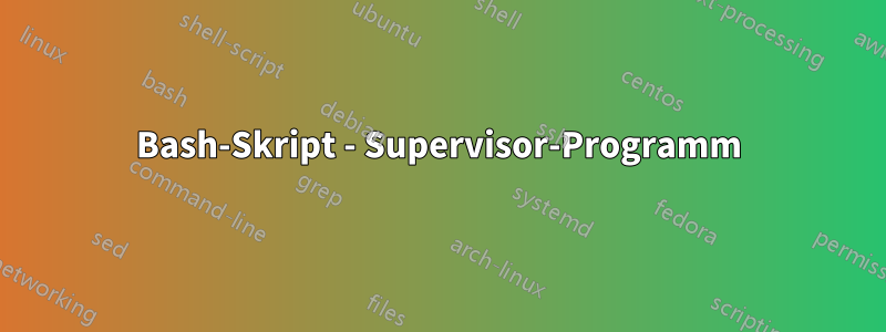 Bash-Skript - Supervisor-Programm