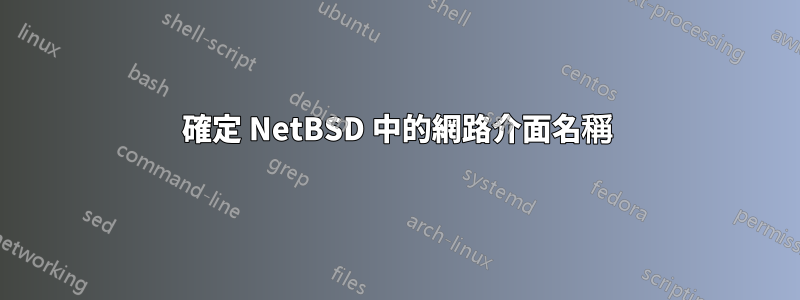 確定 NetBSD 中的網路介面名稱