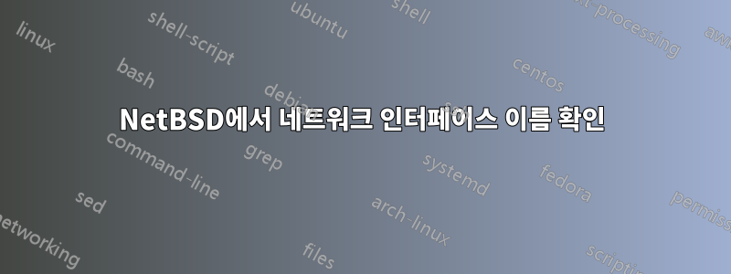 NetBSD에서 네트워크 인터페이스 이름 확인