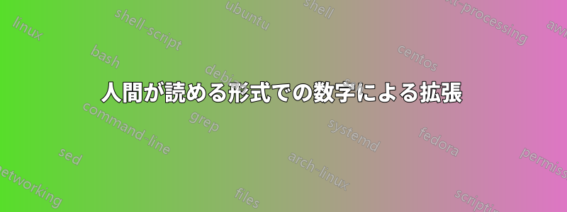 人間が読める形式での数字による拡張