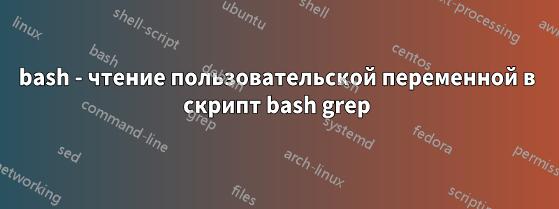 bash - чтение пользовательской переменной в скрипт bash grep