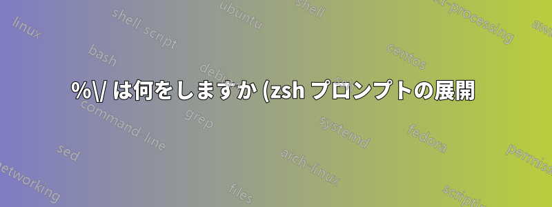 %\/ は何をしますか (zsh プロンプトの展開)?