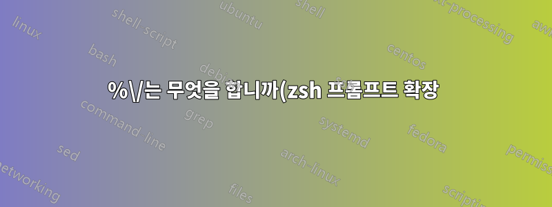 %\/는 무엇을 합니까(zsh 프롬프트 확장)?