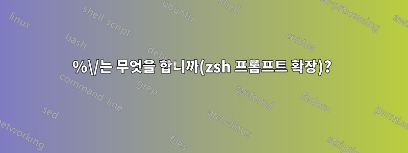 %\/는 무엇을 합니까(zsh 프롬프트 확장)?