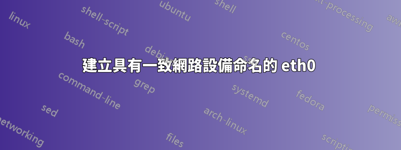 建立具有一致網路設備命名的 eth0