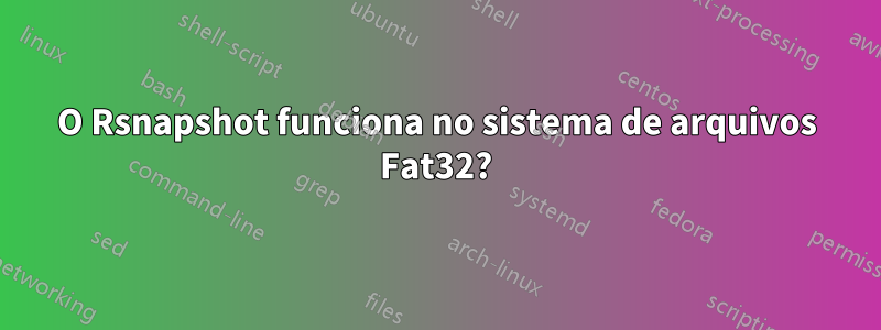 O Rsnapshot funciona no sistema de arquivos Fat32?