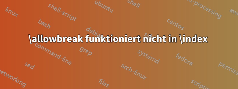 \allowbreak funktioniert nicht in \index