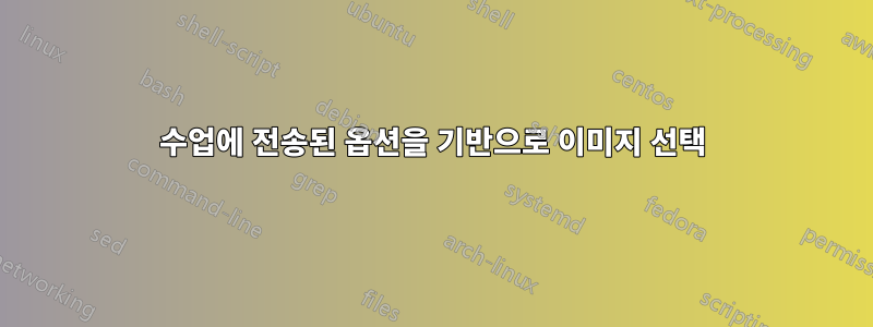 수업에 전송된 옵션을 기반으로 이미지 선택