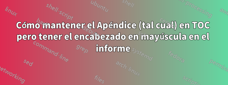Cómo mantener el Apéndice (tal cual) en TOC pero tener el encabezado en mayúscula en el informe