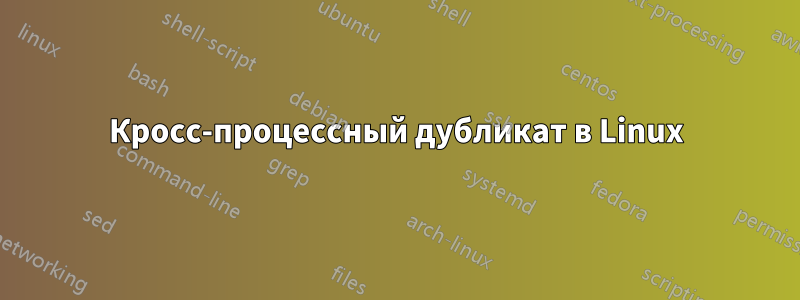 Кросс-процессный дубликат в Linux