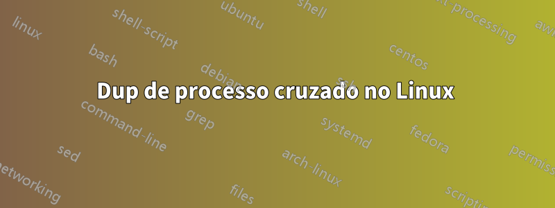 Dup de processo cruzado no Linux