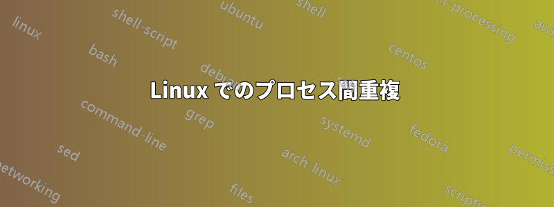 Linux でのプロセス間重複