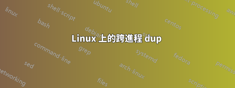 Linux 上的跨進程 dup