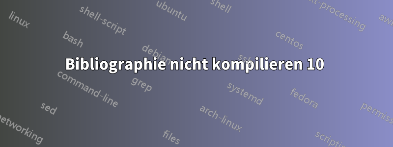 Bibliographie nicht kompilieren 10