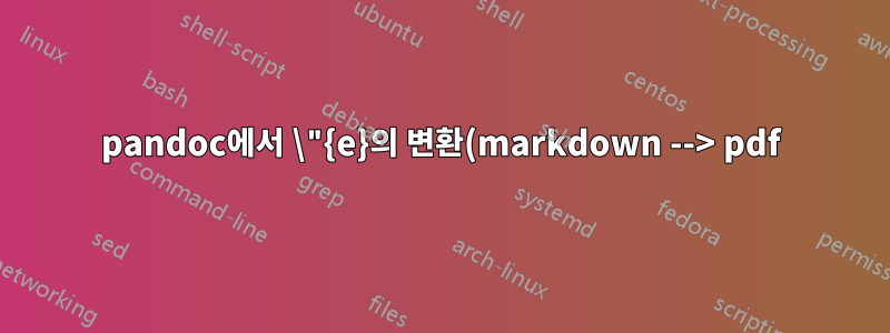 pandoc에서 \"{e}의 변환(markdown --> pdf)이 실패함