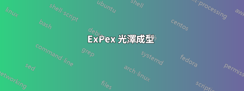 ExPex 光澤成型