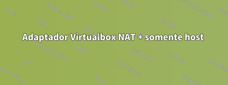 Adaptador Virtualbox NAT + somente host