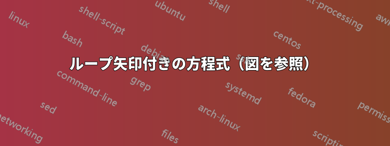 ループ矢印付きの方程式（図を参照）