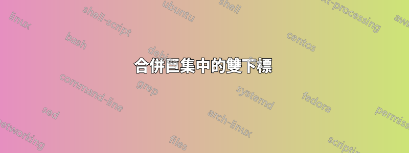 合併巨集中的雙下標