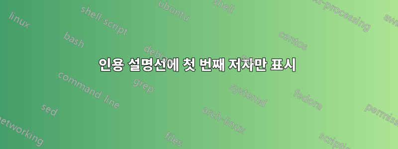 인용 설명선에 첫 번째 저자만 표시