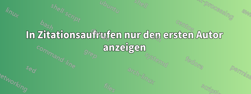 In Zitationsaufrufen nur den ersten Autor anzeigen