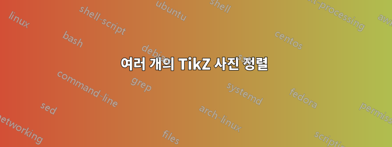 여러 개의 TikZ 사진 정렬