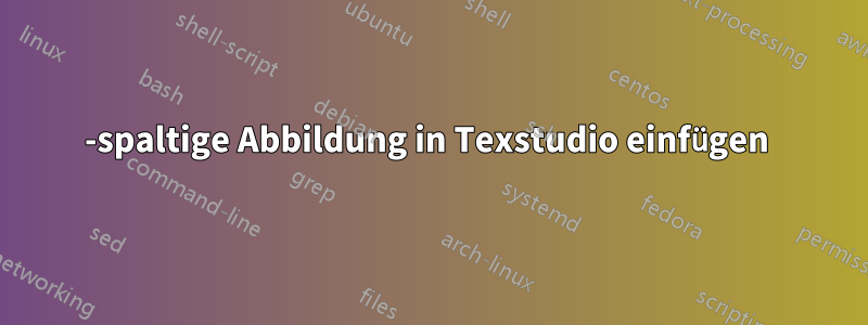 2-spaltige Abbildung in Texstudio einfügen 