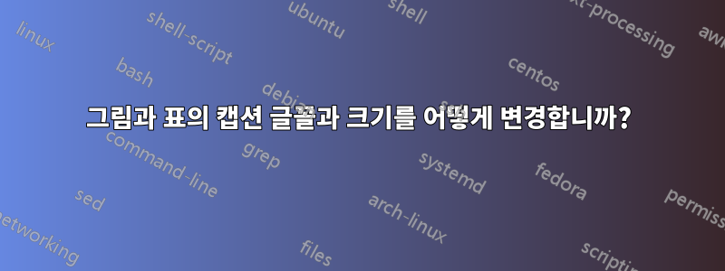 그림과 표의 캡션 글꼴과 크기를 어떻게 변경합니까?