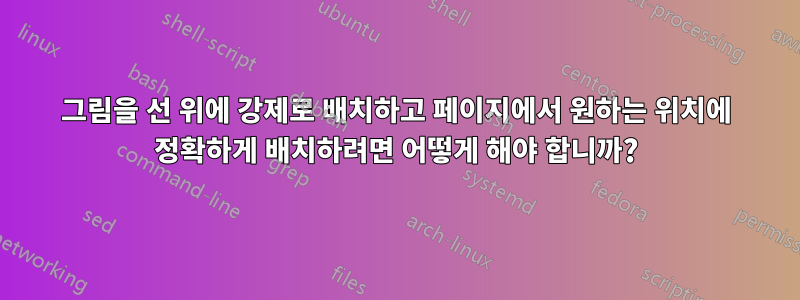 그림을 선 위에 강제로 배치하고 페이지에서 원하는 위치에 정확하게 배치하려면 어떻게 해야 합니까?