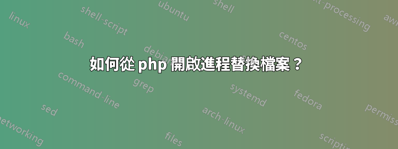 如何從 php 開啟進程替換檔案？